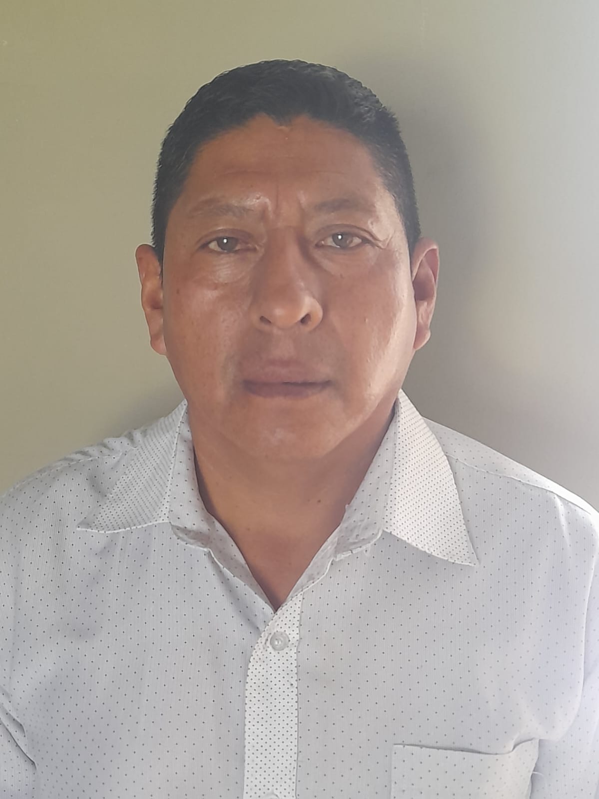 Conductor Profesional