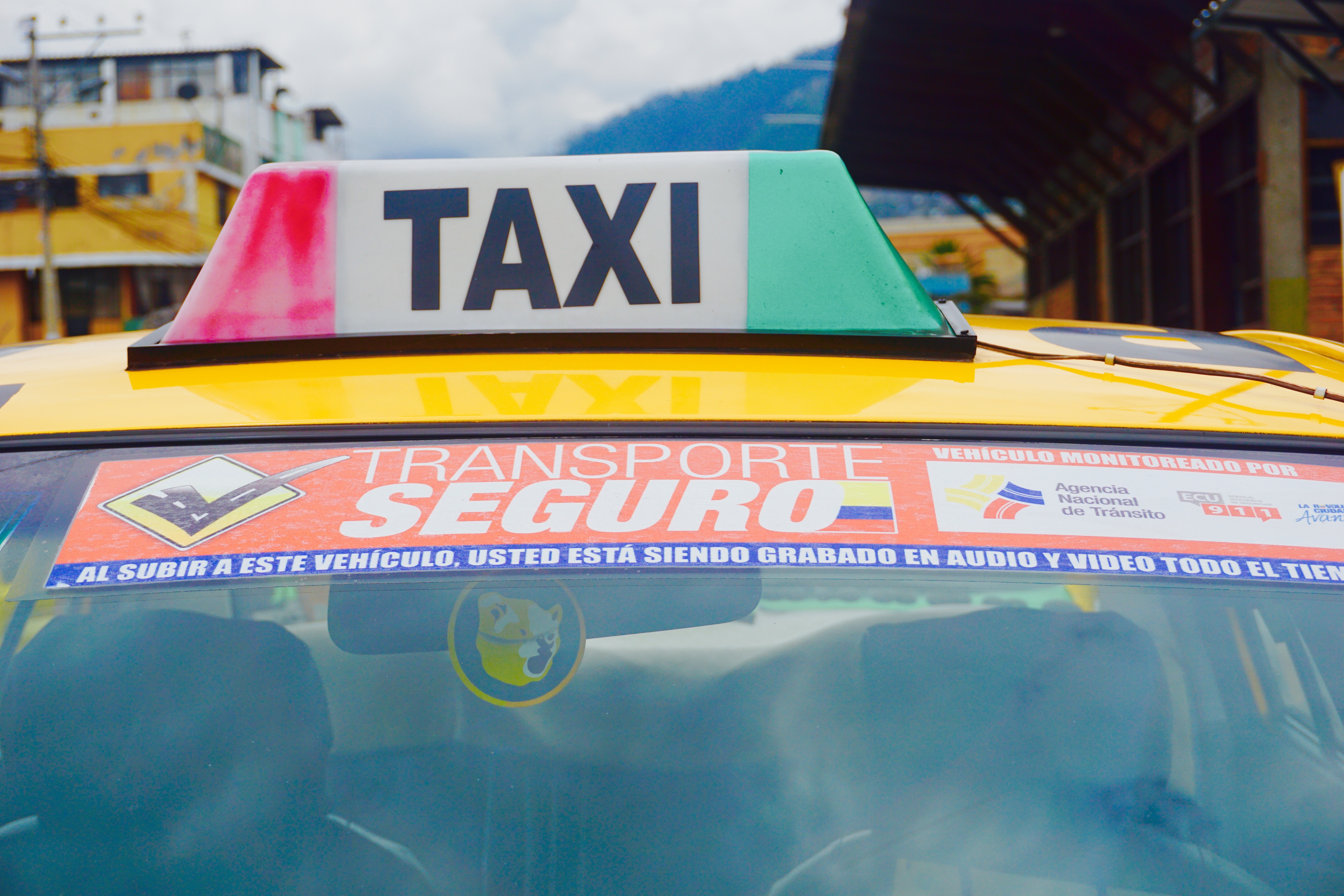 Conductor profesional